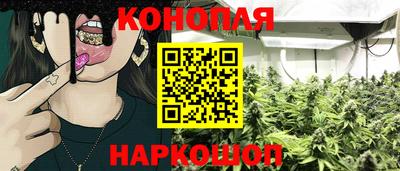 спиды Лесосибирск