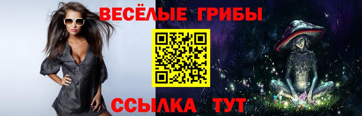 Псилоцибиновые грибы MAGIC MUSHROOMS Узловая